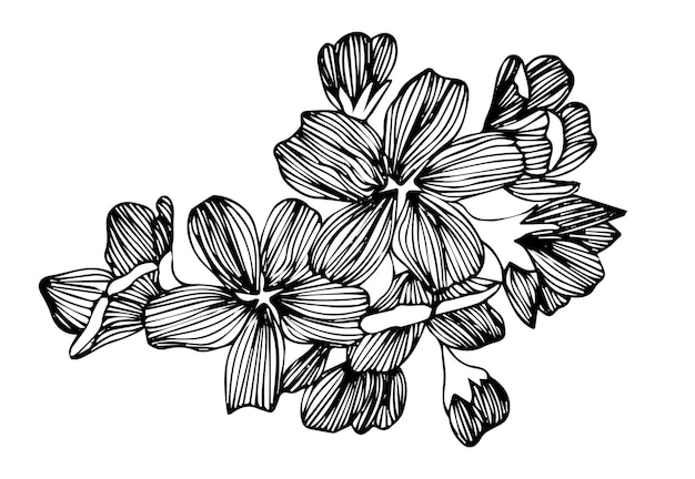 Sakura bloem doodle pictogram. Achterlijn geïsoleerd op wit. Een lijn contour bloementekening.