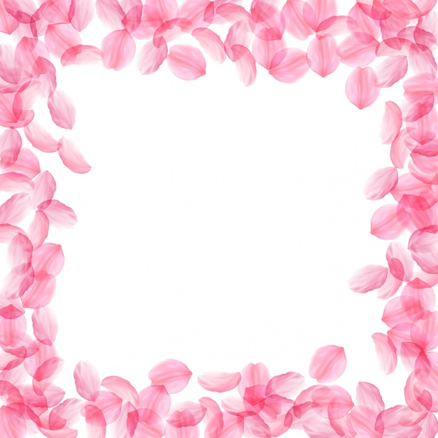 Vector sakura bloemblaadjes vallen. romantische roze zijdeachtige grote bloemen. dikke vliegende kersenblaadjes. vierkant bord