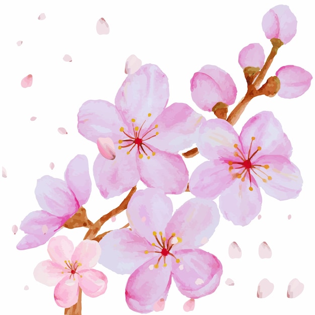 Sakura bloemen illustratie