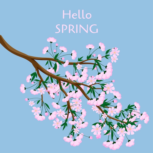 Изолированная ветвь цветения сакуры Hello spring плакат или баннер Плоская векторная иллюстрация