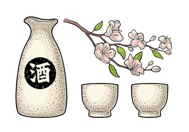 Вектор Цветение сакуры ветка вишни с цветами и бутонами падающие лепестки