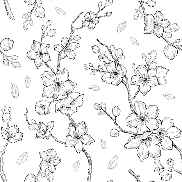 Modello di fiore di sakura fiore di ciliegio sfondo vettoriale senza soluzione di continuità floreale giapponese o cinese linea nera arte ramo di albero vintage primavera schizzo contorno illustrazione modello sakura senza cuciture disegnato a mano