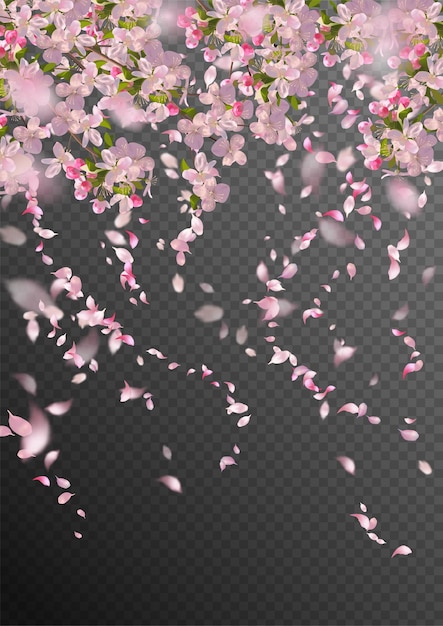 ベクトル 花びらが落ち、透明な要素がぼやけている春の桜の枝