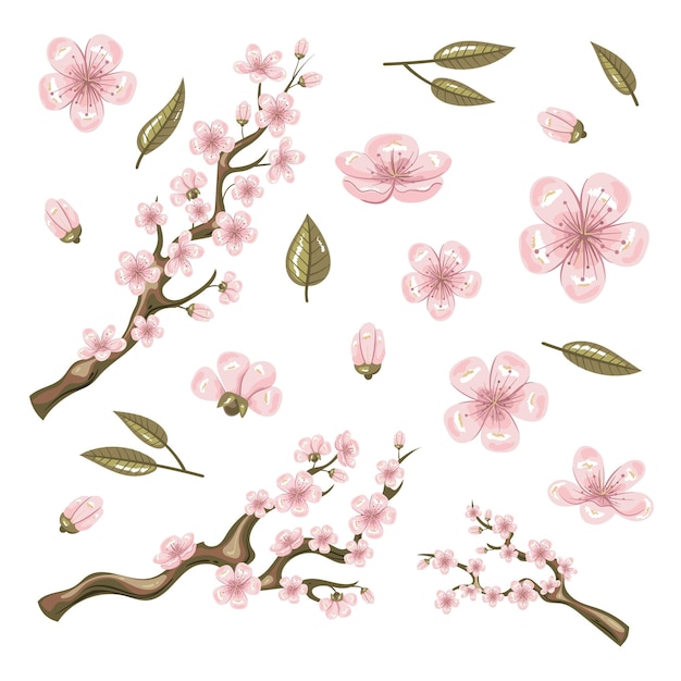 Sakura branch leaf floral flower isolated set