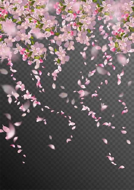 Sakura branch in springtime with falling petals and blurred transparent elements