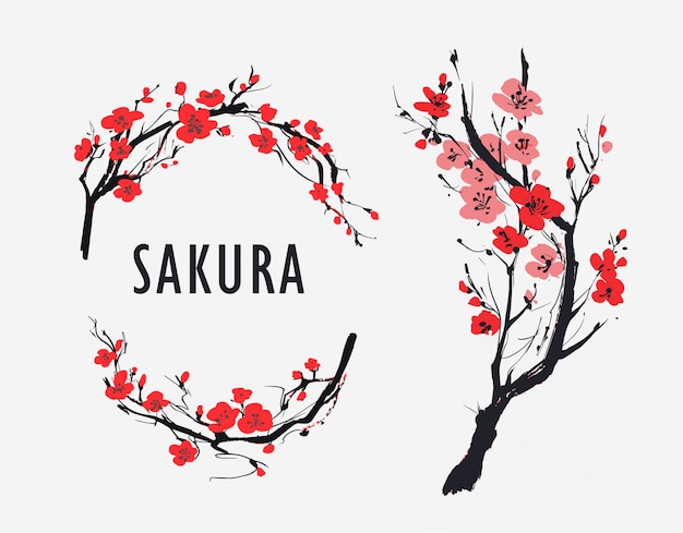 Sakura branch with flowers. Vector illustration