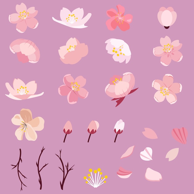 Sakura cherry blossom pack set