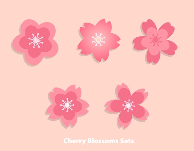 Vector sakura cherry blossoms set