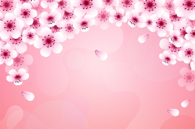 sakura falling petals vector on pink banner background