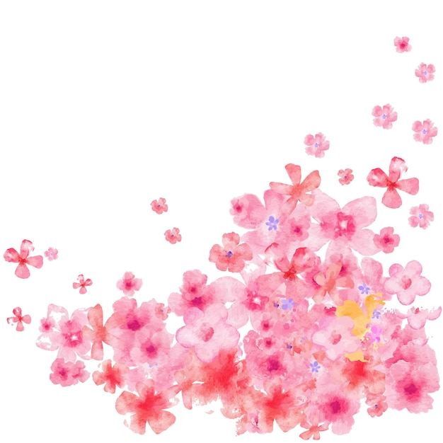 Цветочная иллюстрация сакуры
