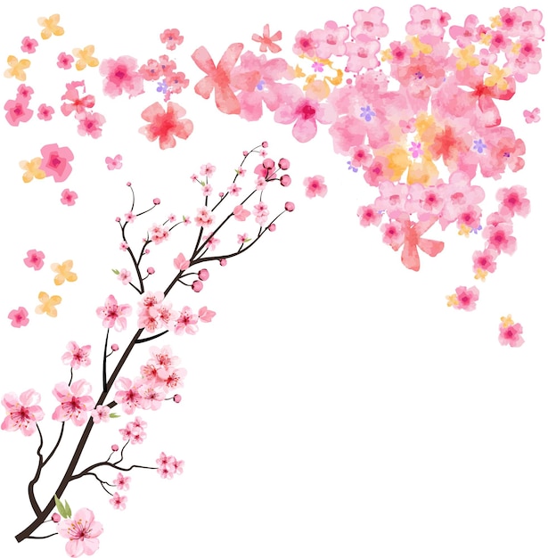 sakura flower illustration