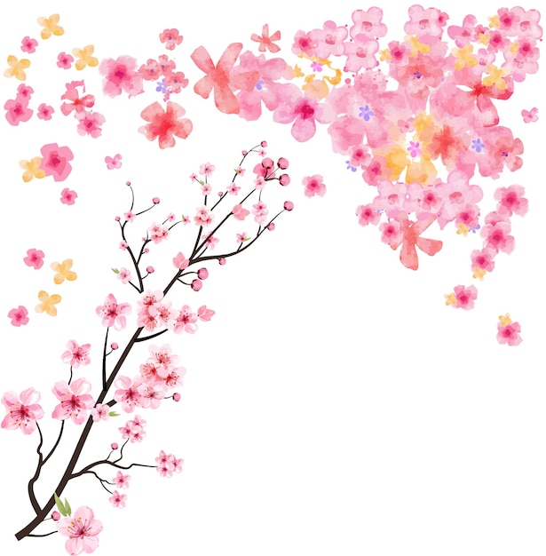 Sakura flower illustration