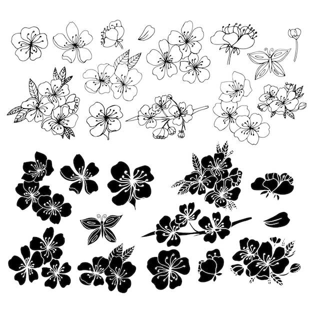 Sakura flowers blossom set hand drawn line ink style Cute doodle cherry plant vector illustration