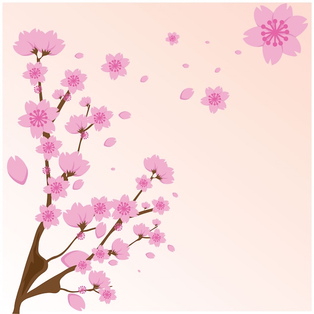 Sakura flowers pink On pink background.Vector