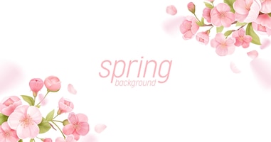 Sakura flowers realistic floral banner. cherry blossom vector greeting card design. spring flower illustration background, exotic poster template, voucher, brochure, flyer