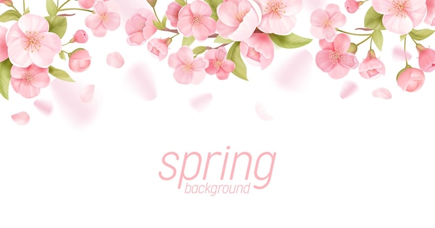 Sakura flowers realistic floral banner. cherry blossom vector greeting card design. spring flower illustration background, exotic poster template, voucher, brochure, flyer