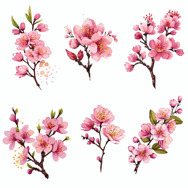 Сакура цветы набор векторных иллюстраций