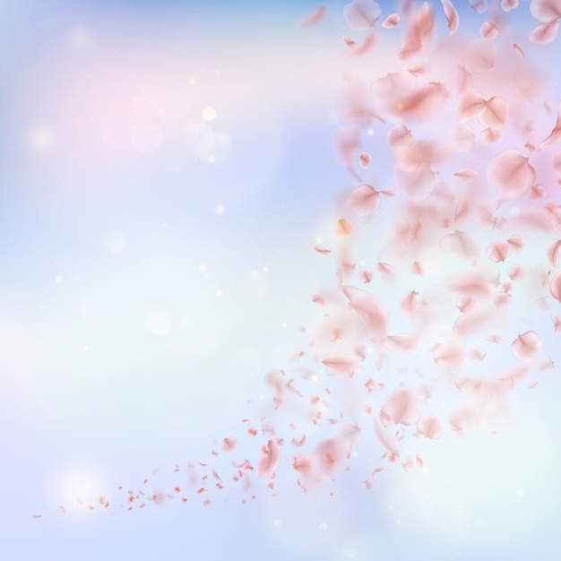 Vector sakura flying downwind petals on wind.