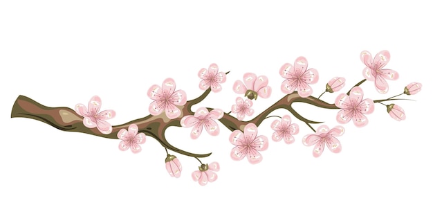 Sakura kersen tak boom bloesem bloem geïsoleerde set plat grafisch ontwerp illustratie