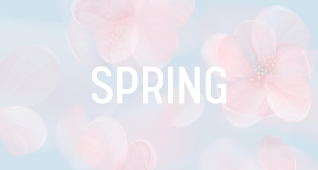 Vector sakura petal pink background. vector spring flowers abstract banner, floral blur design, wallpaper texture, delicate nature concept backdrop, summer blossom bokeh cover