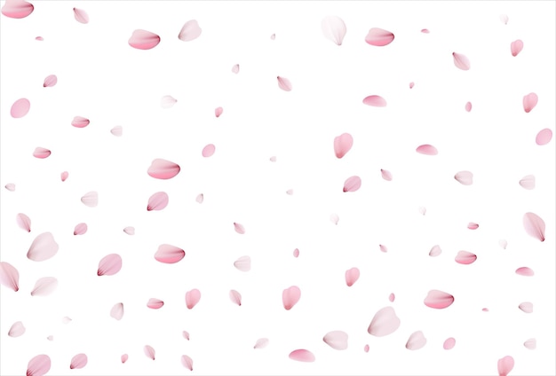 Vector sakura petals background cherry petals vector