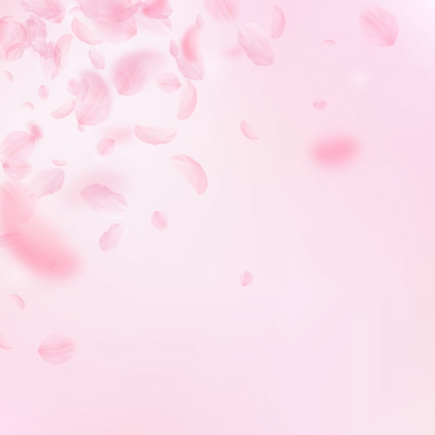 Sakura petals falling down. Romantic pink flowers gradient.