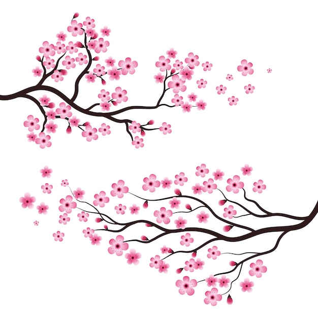 Premium Vector | Sakura pink flowers in branch icon illustration design