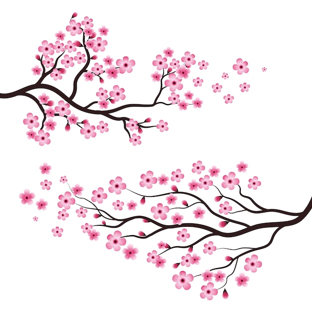 Sakura fiori rosa nel design dell'illustrazione dell'icona del ramo