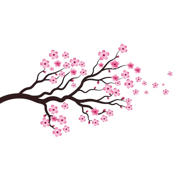 Sakura schoonheid bloem vector icoon