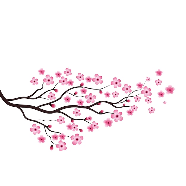 Sakura schoonheid bloem Vector icoon