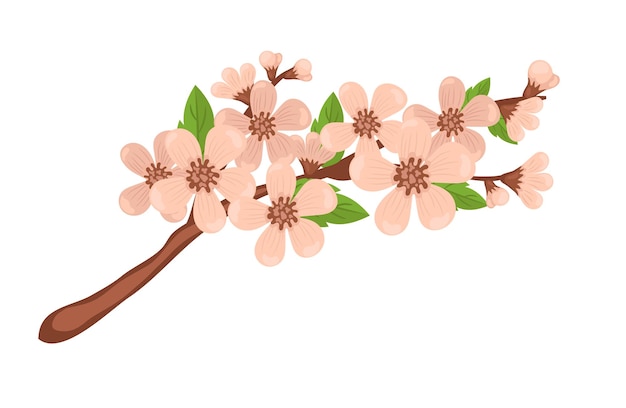 Vector sakura sprig spring cherry blossom