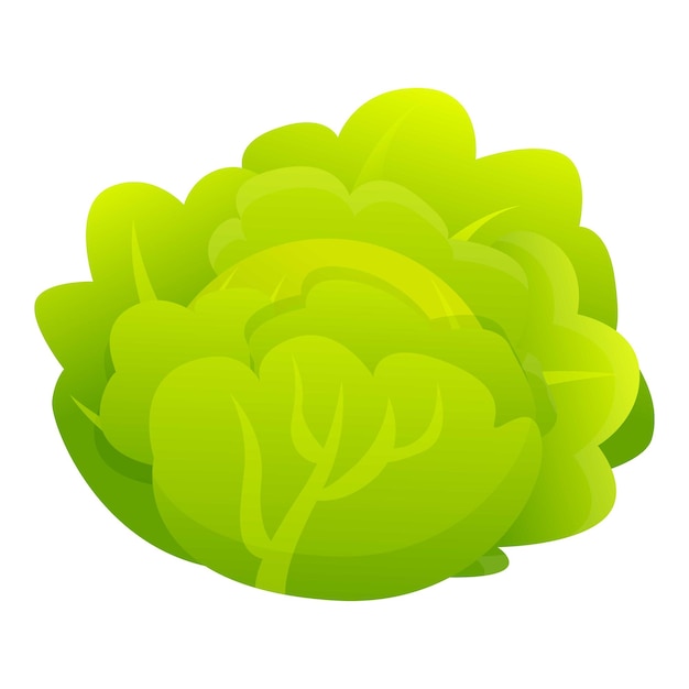 Salad cabbage icon Cartoon of salad cabbage vector icon for web design isolated on white background