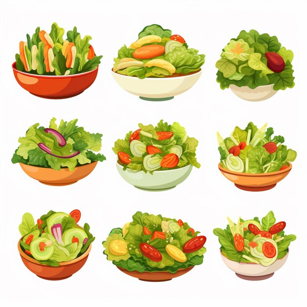 Vector salad food fresh illustration diet vector organic healthy vegetable nutrition bowl vegeta