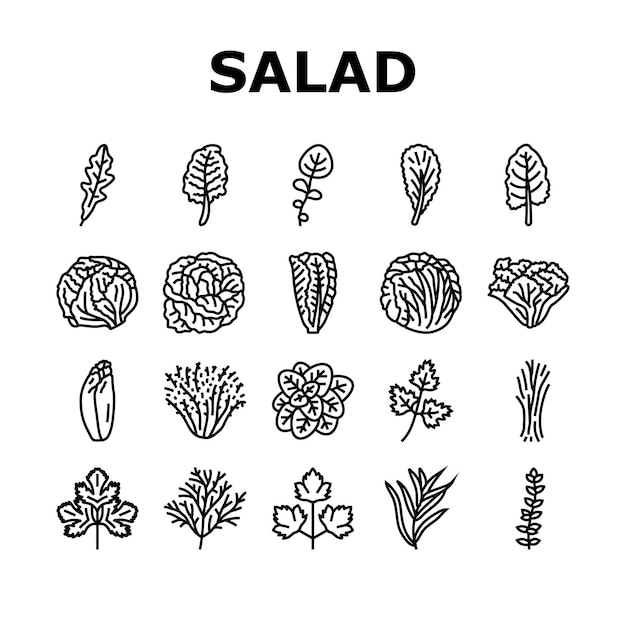 Salad food healthy green fresh icons set vector