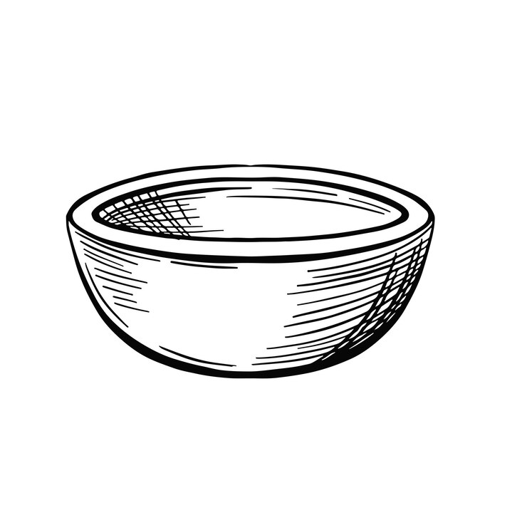 Salad schaal Inkt schets geïsoleerd op witte achtergrond Met de hand getekende vector illustratie Retro stijl