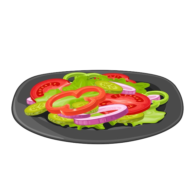 Salad with lettuce onion tomato cucumber on plate Vector color illustration