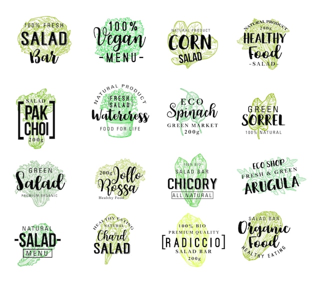 Vector salads vegetables vector sketch lettering