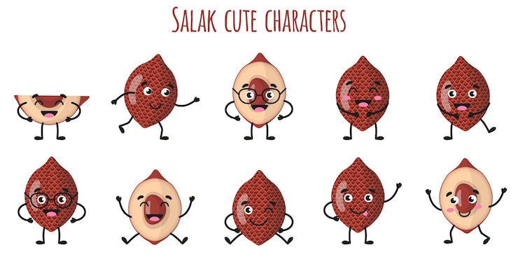 वेक्टर salak fruit cute funny cheerful characters with different poses and emotions