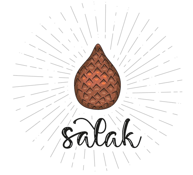 농장 시장 메뉴에 대한 Salak 과일 기호