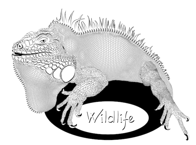 Salamander on logo of wildlife