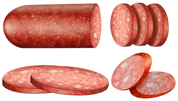 Vector salami slices on white background