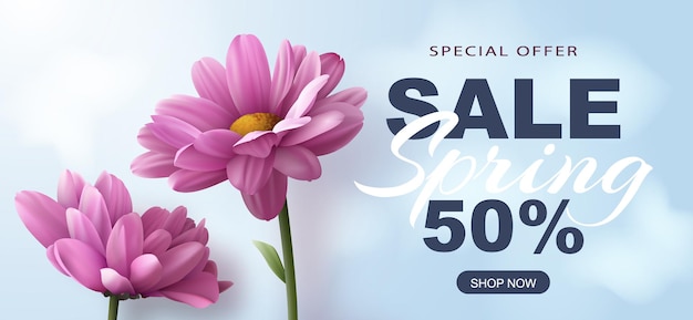 Vector sale banner with two realistic pink chrysanthemum flowers on a blue background