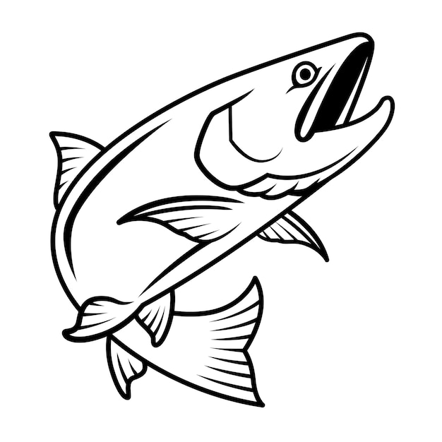 Salmon drawing with black blush lines