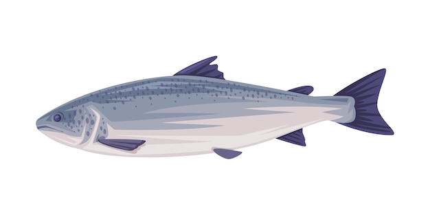salmon fish as finland symbol and attribute vector illustration