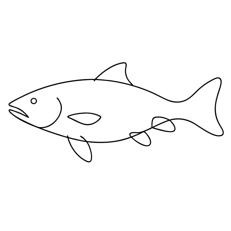 Vector salmon fish continuous one line art drawing vector illustration coloring page
