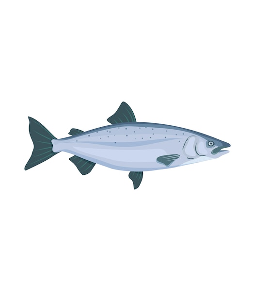 salmon fish illustration vector in flat style stock illustration