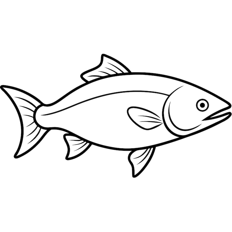 Vector salmon fish line art vector