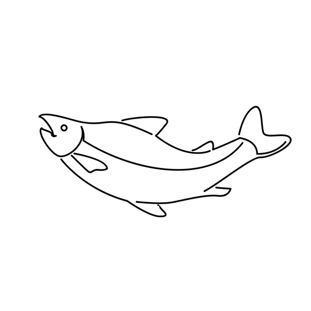 Salmon Fish outline illustration