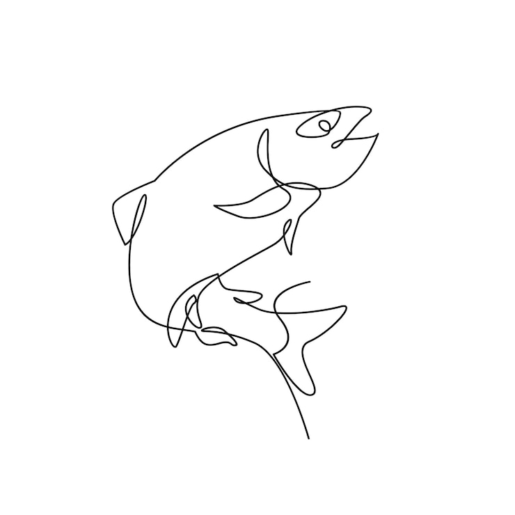 Vector salmon fish single line illustration