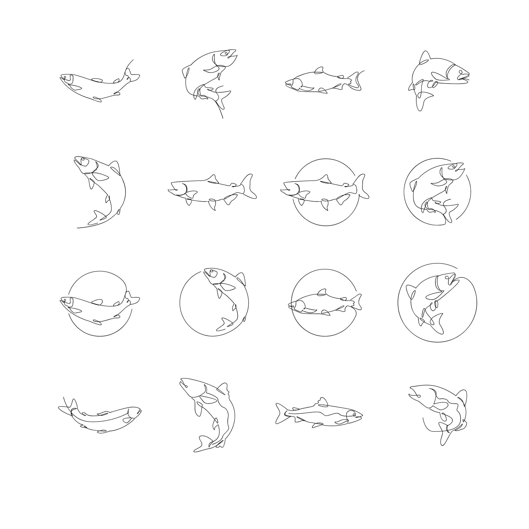 Premium Vector | Salmon fish single line illustration